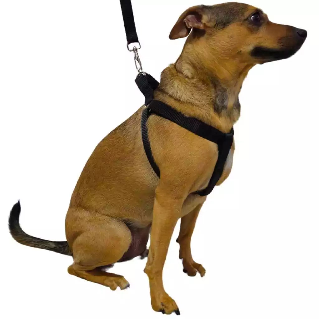 Peitoral Americano Com Guia Ajustável - PetMel