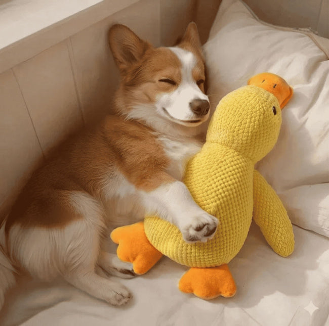 Patinho de Pelúcia Ultra Resistente para Cães - PetMel