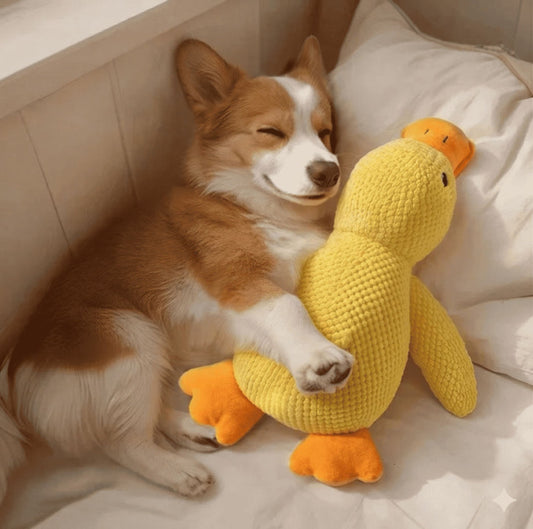 Patinho de Pelúcia Ultra Resistente para Cães - PetMel